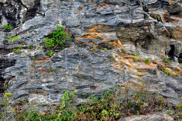 color on the rocks